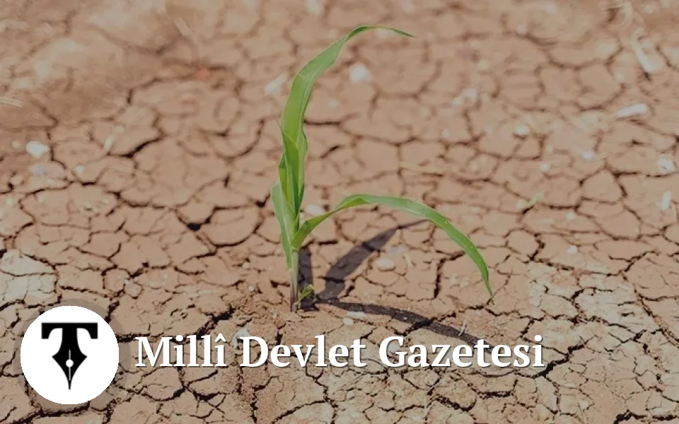 kuraklık tehlikesi