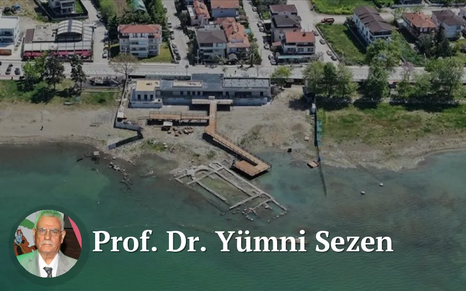prof. dr. yümni sezen görsel