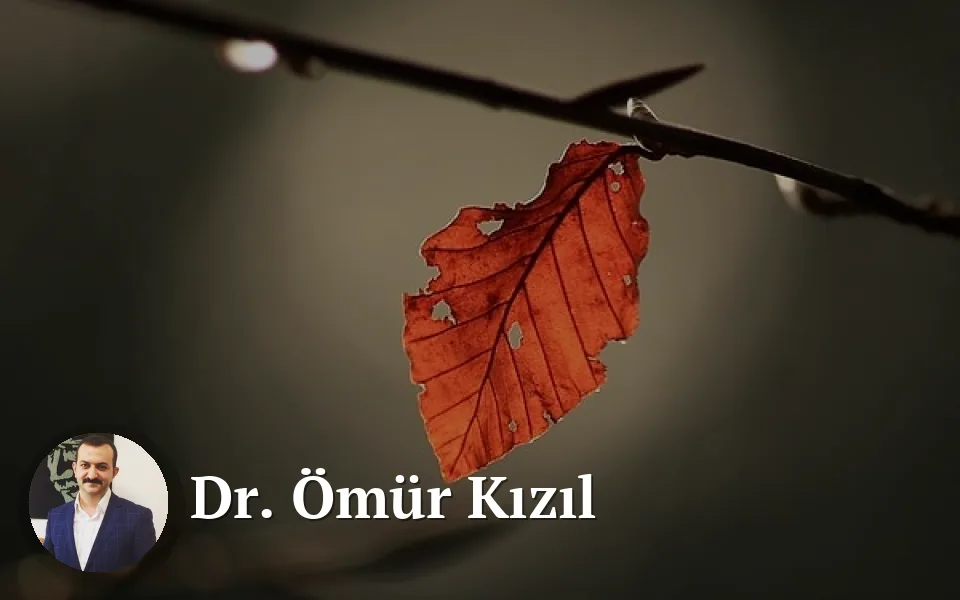 DÜŞÜK ŞİDDETLİ DEVRİM